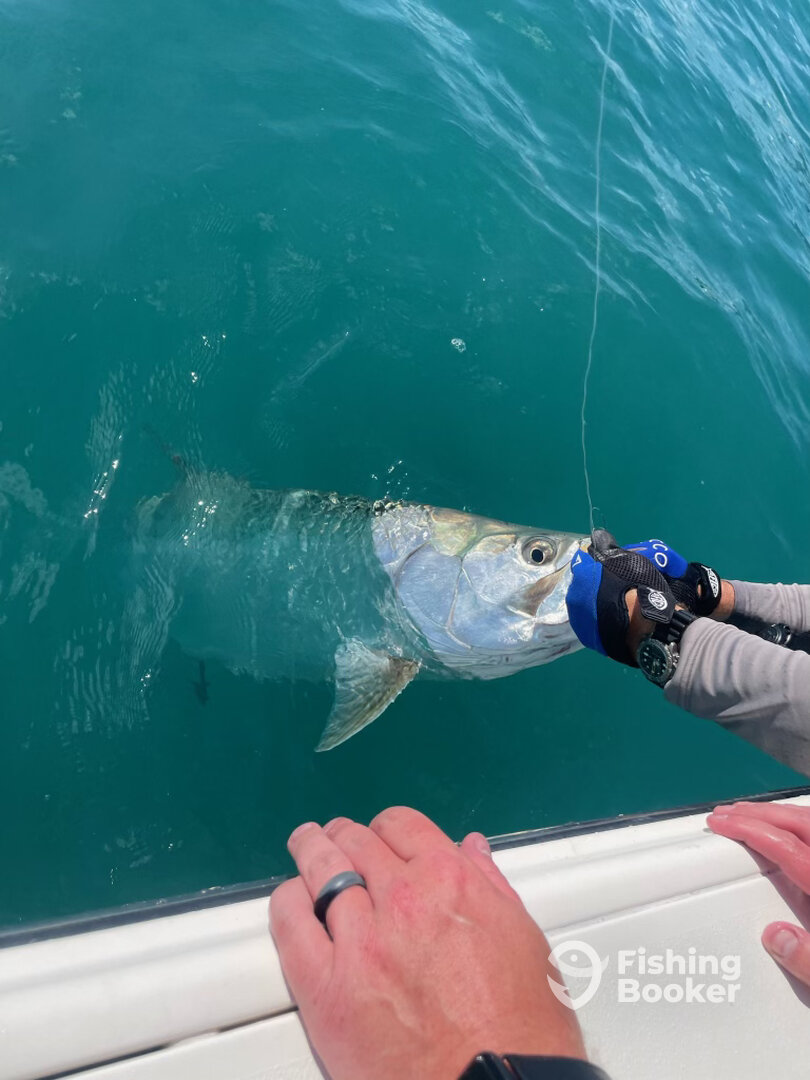 Key West Report Photo 0