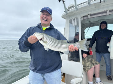 Falmouth Report Photo 1