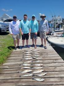 Trout trout trout