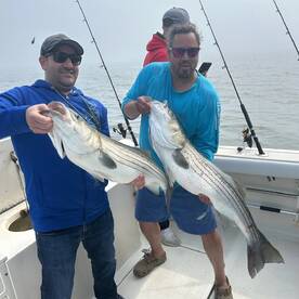 Finished off a great striped bass season