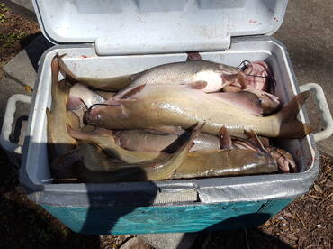 First trip of the season