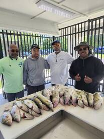 Lakeside Marblehead Report Photo 1