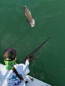 We are taking walk on's for June 10