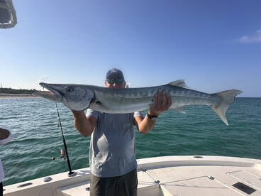 Barracudas on the beach