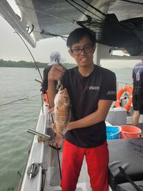 Singapore Report Photo 2