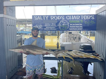 Galveston Report Photo 2