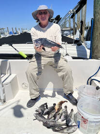 Its seabass time