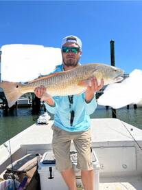 Hot inshore bite for red drum great for 