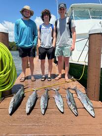 Dania Beach Report Photo 2