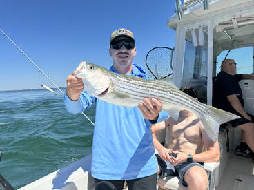 Falmouth Report Photo 1