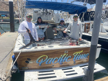 Cabo San Lucas Report Photo 2