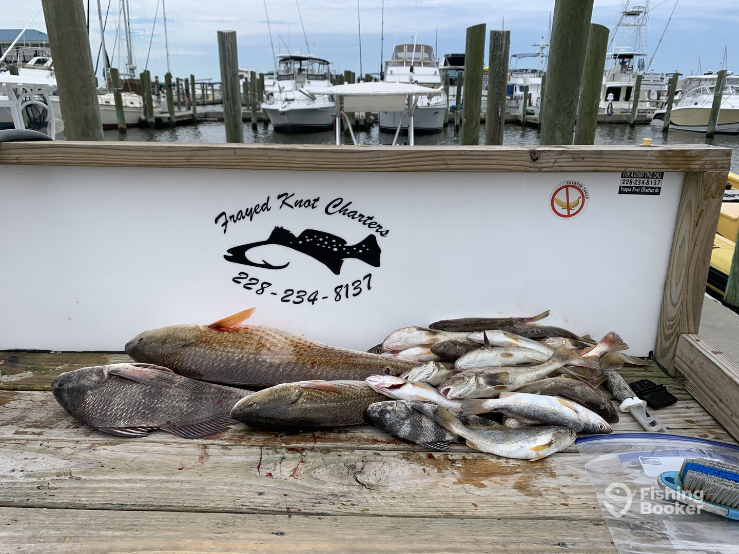 Biloxi Report Photo 0