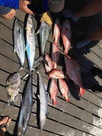 Freeport Report Photo 2