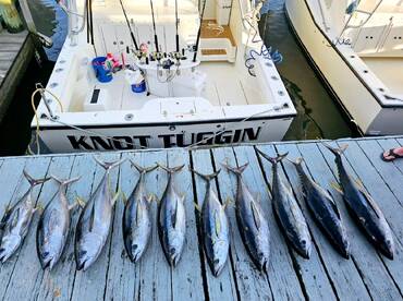 Spring time tuna! 