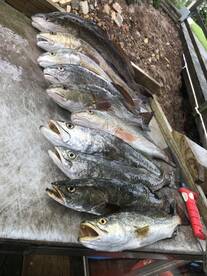 Great day on the water 