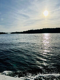 Oak Island Report Photo 1
