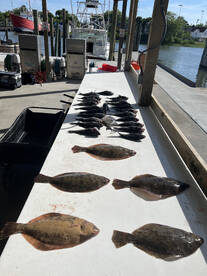 June 1 Seabass and Flounder!