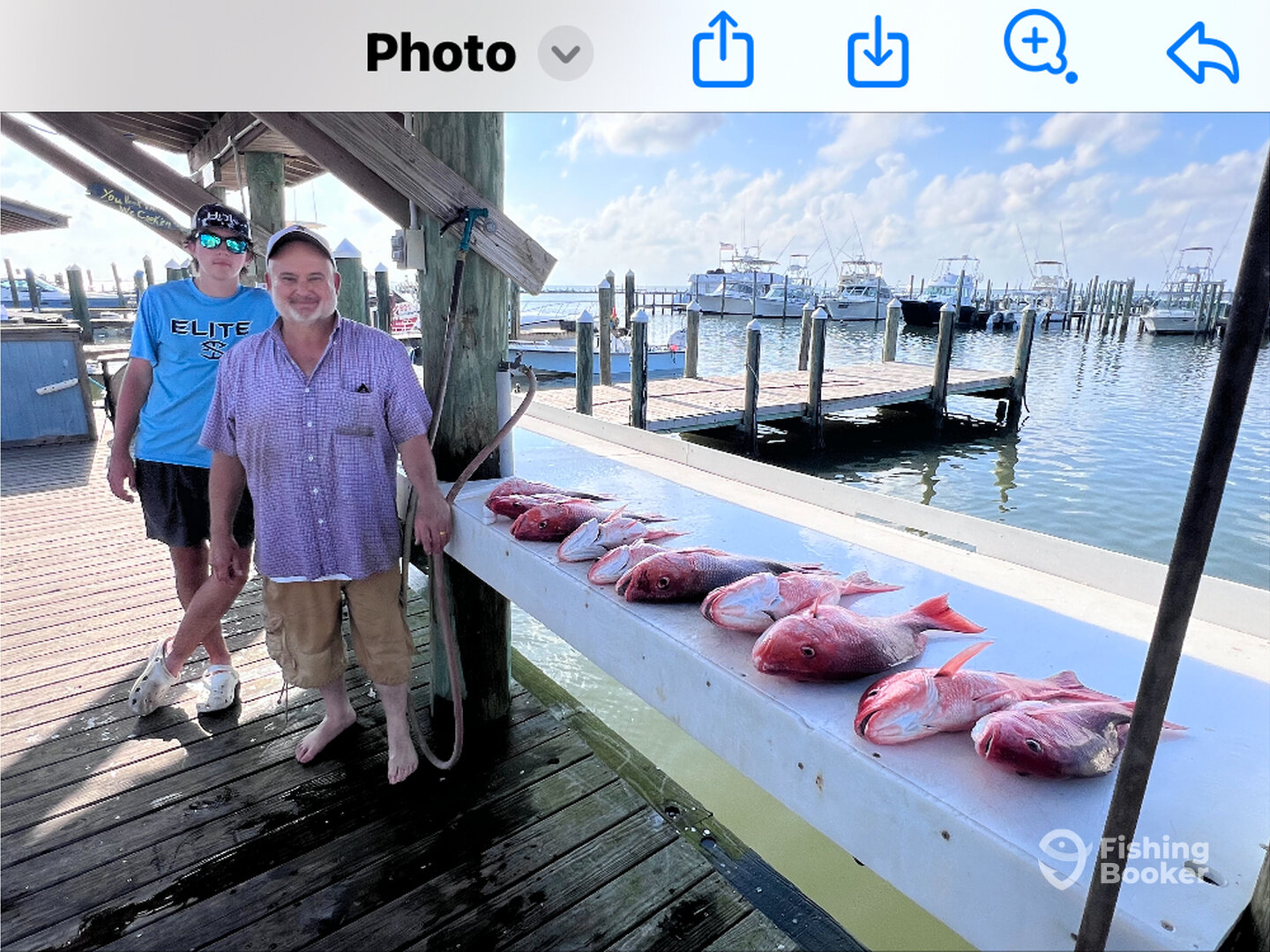 Gulf Shores Report Photo 0