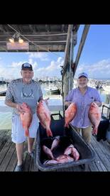 Gulf Shores Report Photo 1