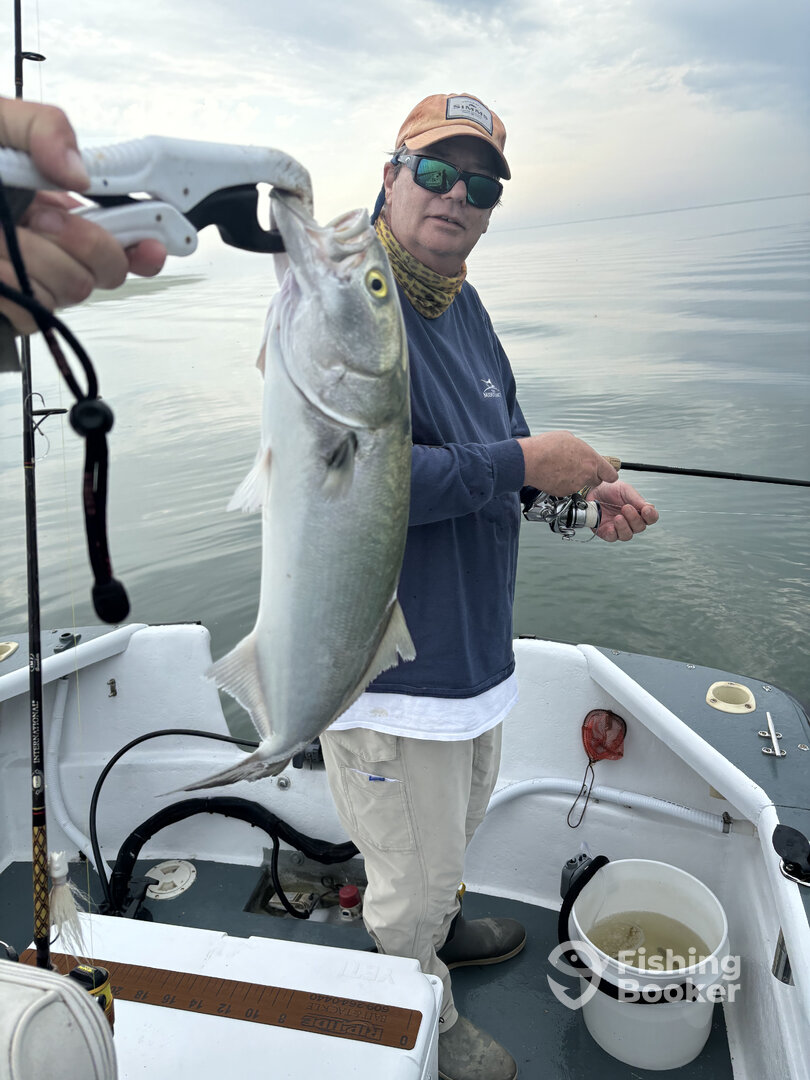 Brigantine Report Photo 0