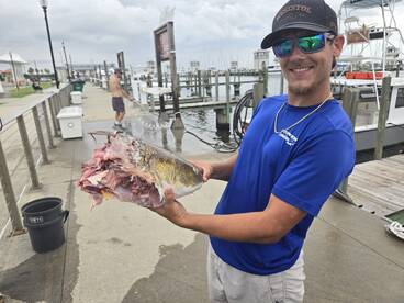 Gulfport Report Photo 2
