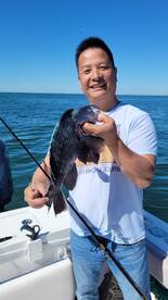 Black Sea Bass are here!