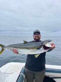 Coronado island yellowtails!