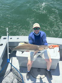 Virginia Beach Report Photo 2