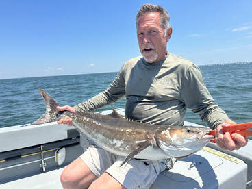 Virginia Beach Report Photo 1