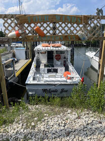 Hampton Report Photo 2