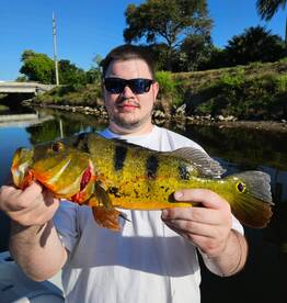 Delray Beach Report Photo 1