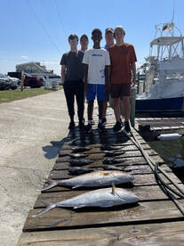 Amber jack and Sea bass