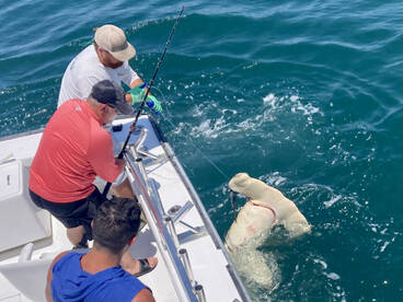 Good week of fishing!