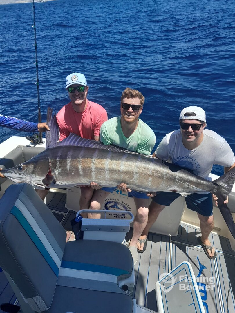 Cabo San Lucas Report Photo 0