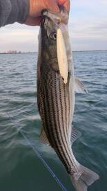 Fishing is firing on all cylinders 