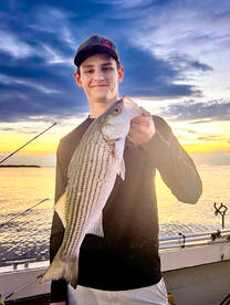 June Striper Report