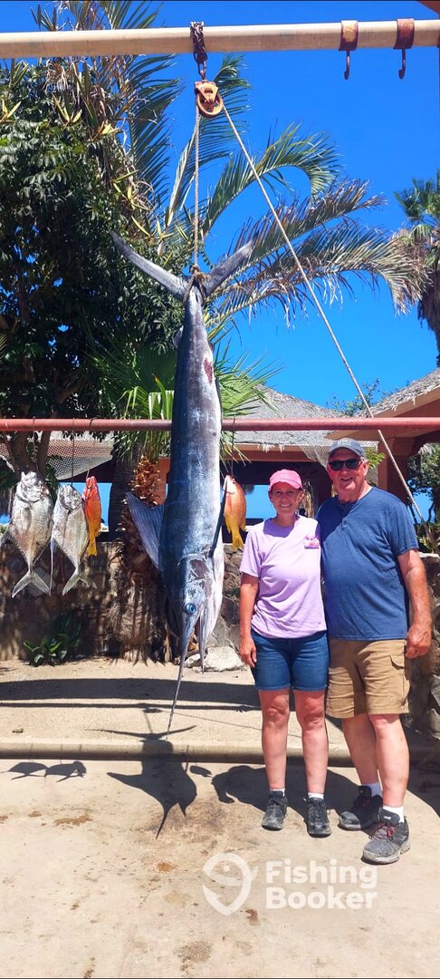 San Jose del Cabo Report Photo 0