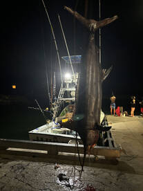 No charters No problem.. Still fishing 