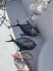 Good fishing day 