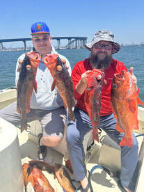 San Diego Report Photo 2