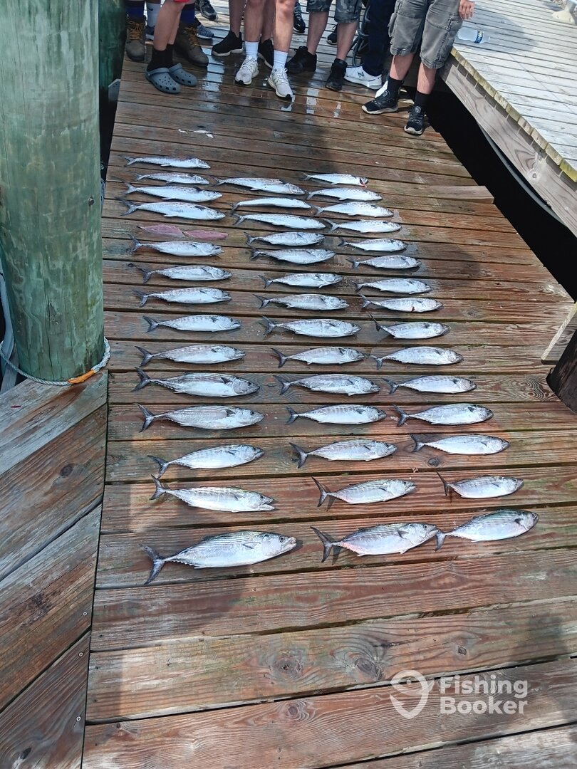 Wanchese Report Photo 0