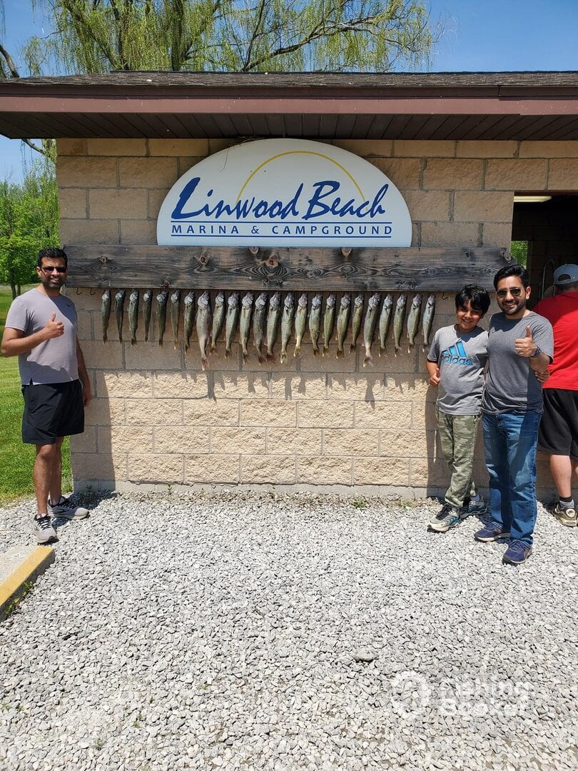 Linwood Report Photo 0