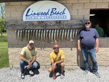 Linwood Report Photo 2