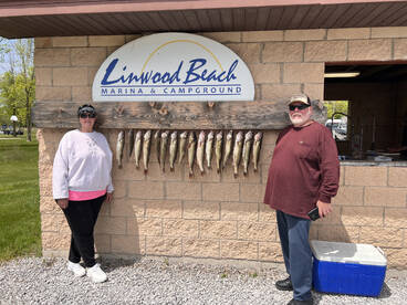 Linwood Report Photo 1