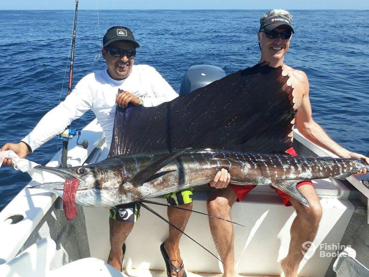 Puerto Vallarta Report Photo 0
