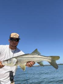 Summer time snook baby 