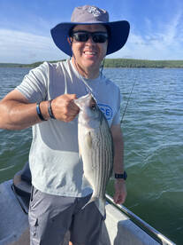 The hybrid striper bite if going very go