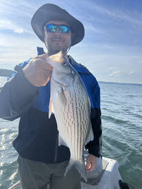 Amazing Hybrid striper action