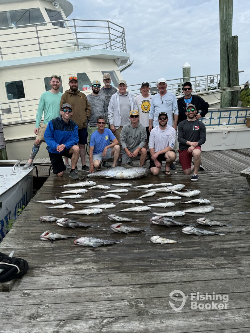 Manteo Report Photo 0