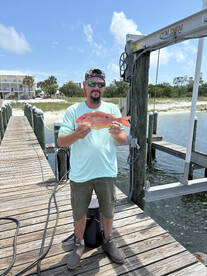 Pensacola Report Photo 1